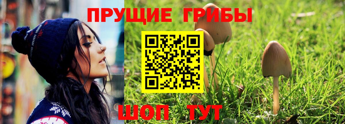 Псилоцибиновые грибы GOLDEN TEACHER Каменск-Шахтинский
