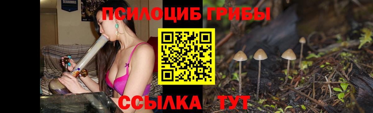 Галлюциногенные грибы Cubensis  Вход с VPN  Каменск-Шахтинский 